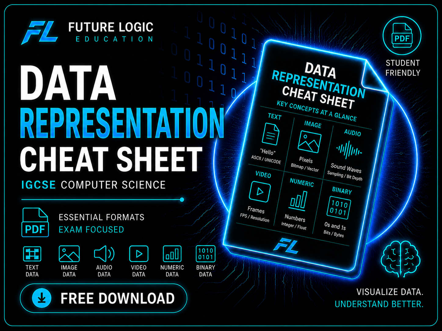 Data Representation Cheat Sheet free PDF thumbnail